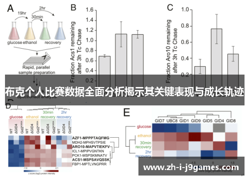 布克个人比赛数据全面分析揭示其关键表现与成长轨迹