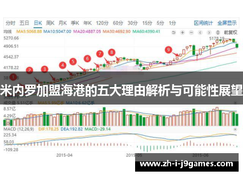 米内罗加盟海港的五大理由解析与可能性展望